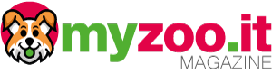 myzoo.it