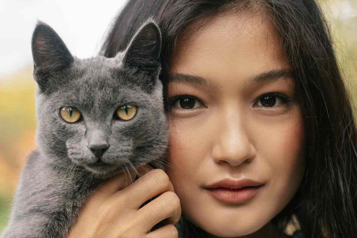 Gatto come ci parla