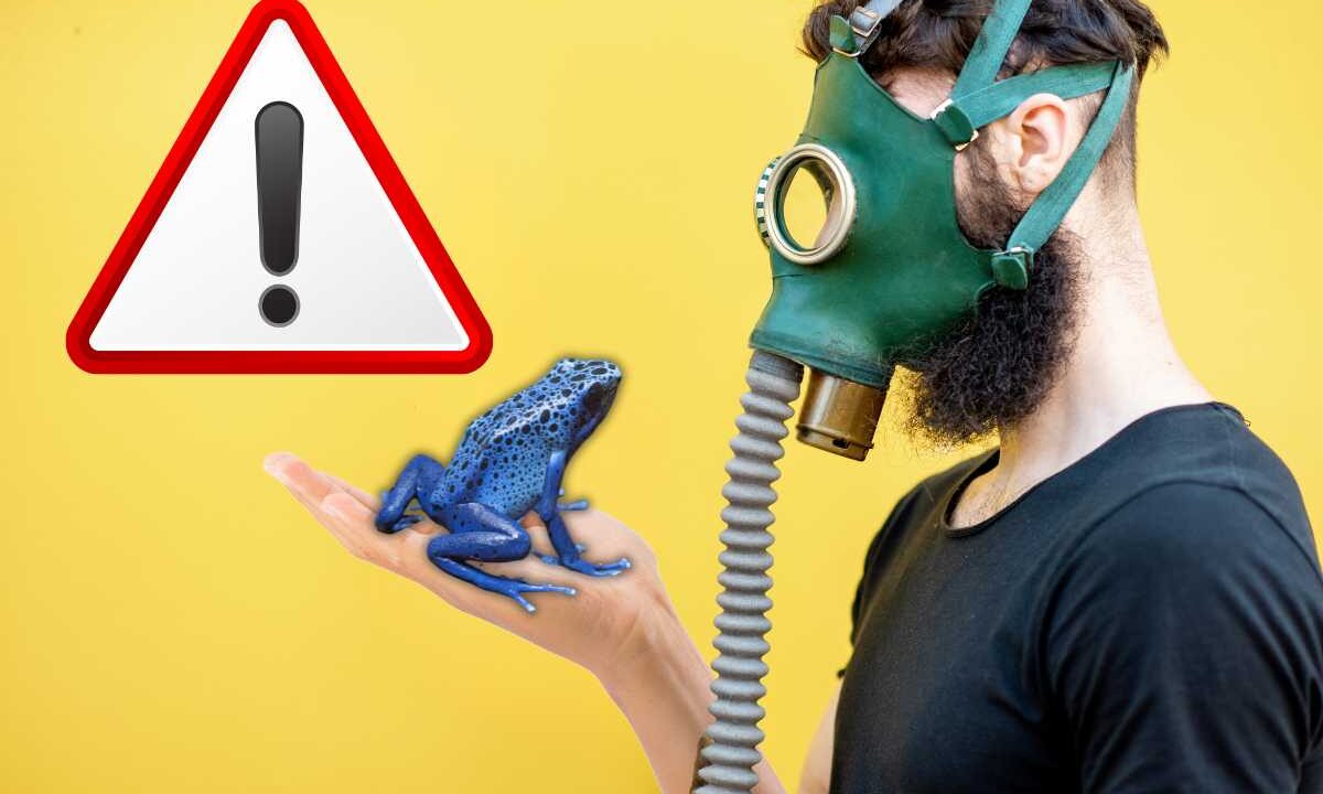 animali pericolo