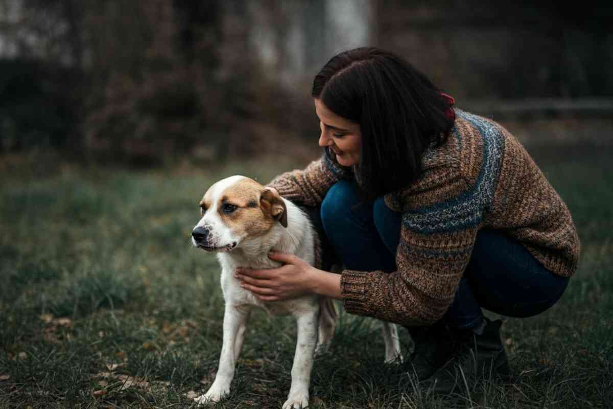 comportamento dei cani con l'ansia