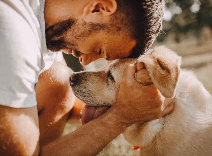 gli animali parlano?