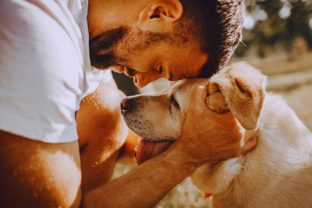 Perché i cani guardano il padrone mentre fanno i bisogni
