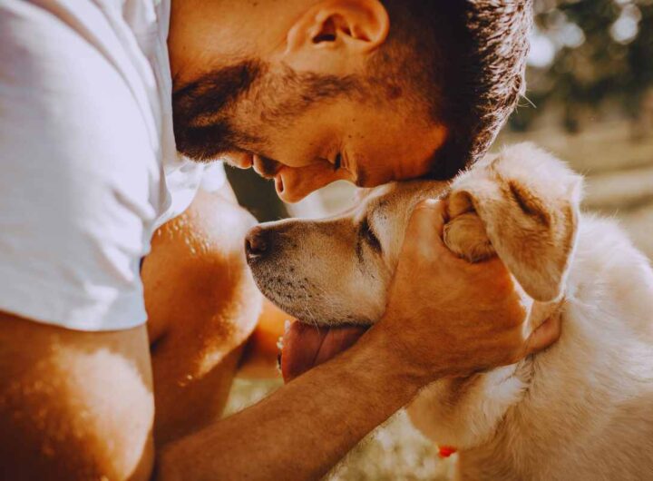 Perché i cani guardano il padrone mentre fanno i bisogni