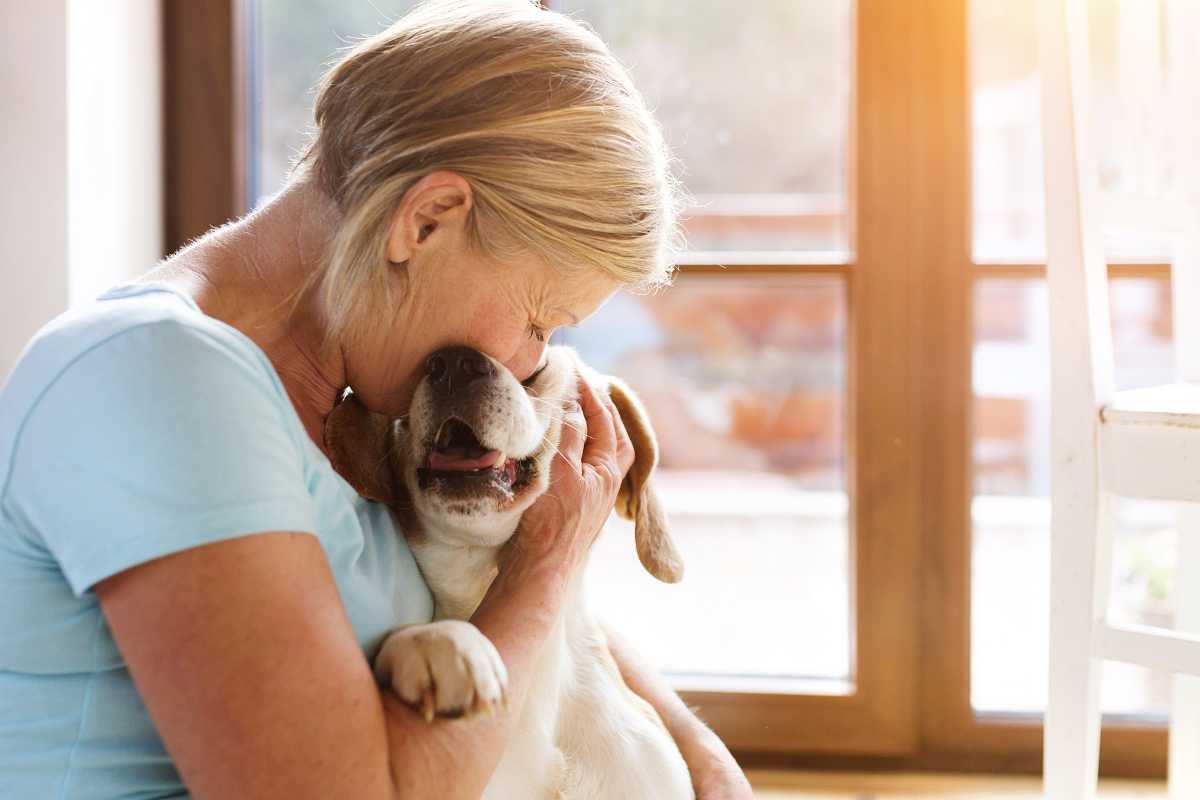 pensione cani quale scegliere